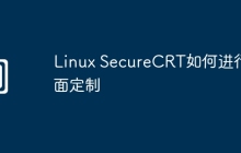 Linux SecureCRT如何进行界面定制