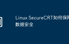 Linux SecureCRT如何保障数据安全