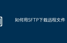如何用SFTP下载远程文件