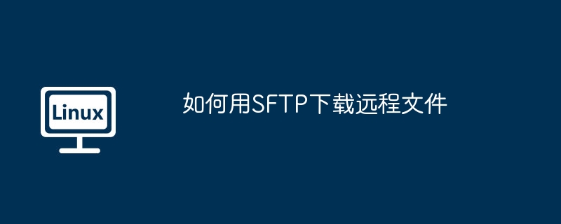 如何用SFTP下載遠(yuǎn)程文件