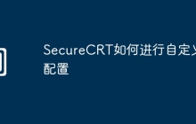 SecureCRT如何进行自定义配置