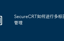 SecureCRT如何进行多标签管理