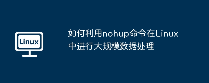 如何利用nohup命令在Linux中進(jìn)行大規(guī)模數(shù)據(jù)處理