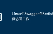 Linux中Swagger与Redis如何协同工作