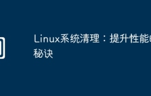 Linux系统清理:提升性能的秘诀