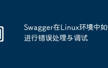 Swagger在Linux环境中如何进行错误处理与调试