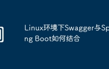 Linux环境下Swagger与Spring Boot如何结合