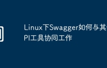 Linux下Swagger如何与其他API工具协同工作