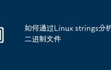 如何通过Linux strings分析二进制文件