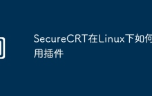 SecureCRT在Linux下如何使用插件