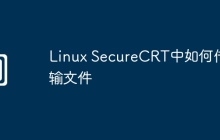 Linux SecureCRT中如何传输文件