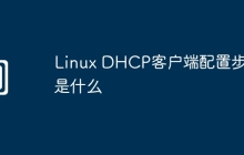 Linux DHCP客户端配置步骤是什么