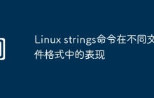 Linux strings命令在不同文件格式中的表现