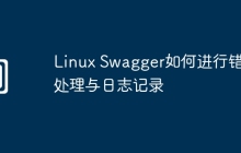 Linux Swagger如何进行错误处理与日志记录
