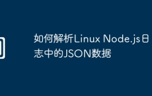 如何解析Linux Node.js日志中的JSON数据
