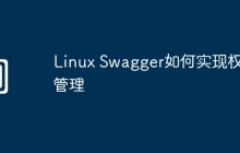Linux Swagger如何实现权限管理