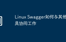 Linux Swagger如何与其他工具协同工作