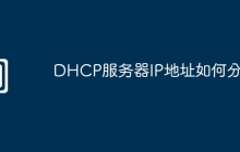 DHCP服务器IP地址如何分配