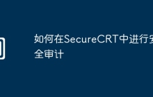 如何在SecureCRT中进行安全审计