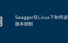 Swagger在Linux下如何进行版本控制