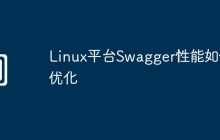 Linux平台Swagger性能如何优化