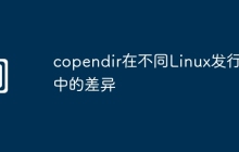 copendir在不同Linux发行版中的差异