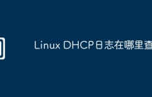 Linux DHCP日志在哪里查看