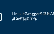 Linux上Swagger与其他API工具如何协同工作