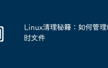 Linux清理秘籍：如何管理临时文件
