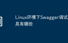 Linux环境下Swagger调试工具有哪些