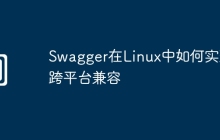 Swagger在Linux中如何实现跨平台兼容