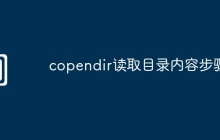 copendir读取目录内容步骤