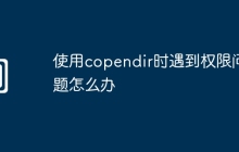 使用copendir时遇到权限问题怎么办