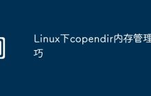 Linux下copendir内存管理技巧