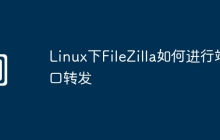 Linux下FileZilla如何进行端口转发