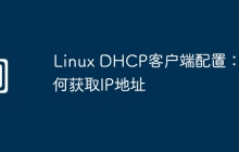 Linux DHCP客户端配置：如何获取IP地址