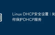 Linux DHCP安全设置：如何保护DHCP服务