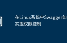 在Linux系统中Swagger如何实现权限控制