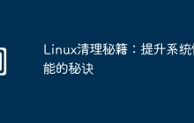 Linux清理秘籍：提升系统性能的秘诀