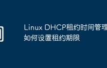 Linux DHCP租约时间管理:如何设置租约期限