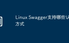 Linux Swagger支持哪些认证方式