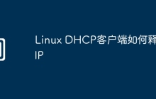 Linux DHCP客户端如何释放IP