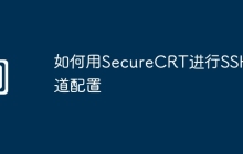 如何用SecureCRT进行SSH隧道配置