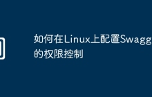如何在Linux上配置Swagger的权限控制
