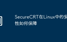 SecureCRT在Linux中的安全性如何保障
