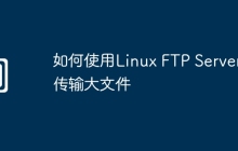 如何使用Linux FTP Server传输大文件