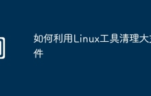 如何利用Linux工具清理大文件