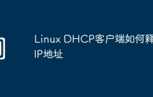 Linux DHCP客户端如何释放IP地址