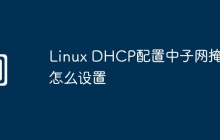 Linux DHCP配置中子网掩码怎么设置