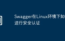 Swagger在Linux环境下如何进行安全认证